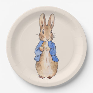 Classic bunny rabbit blue jacket paper plate