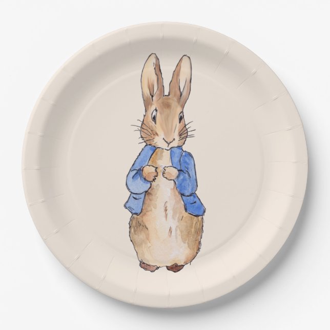 Classic bunny rabbit blue jacket paper plate (Front)