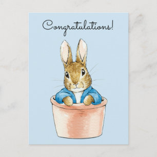 Classic bunny rabbit Congratulations Postcard