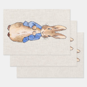Classic bunny rabbit in blue jacket wrapping paper sheet