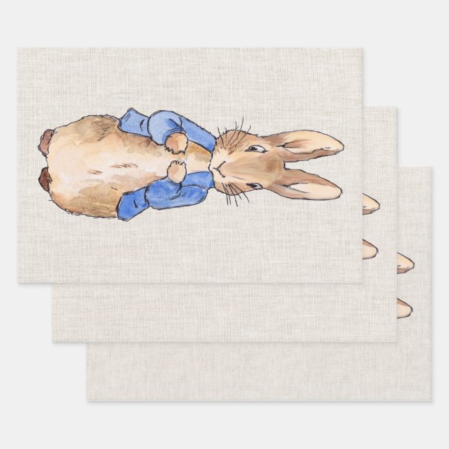 Classic bunny rabbit in blue jacket wrapping paper sheet (Set)