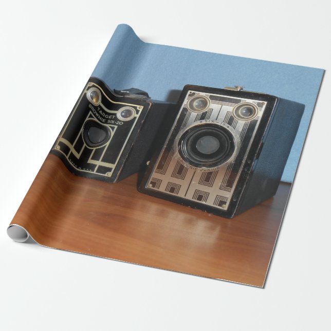 Classic Cameras Wrapping Paper (Unrolled)