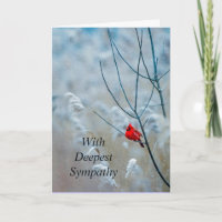 Classic Cardinal Red Bird Christmas Encouraging 