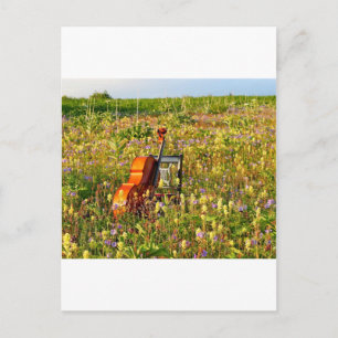 Classic Cello in a field of wildflowers Postcard