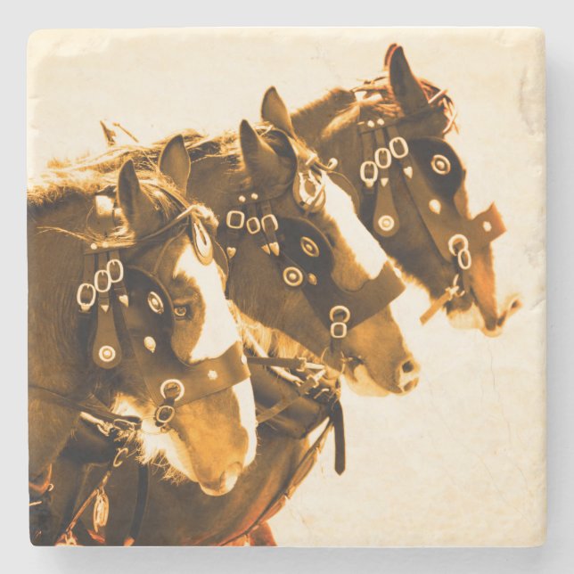 Classic Clydesdale marble Stone Coaster (Front)