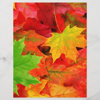 Classic Coloured Autumn Fall Leaf Print