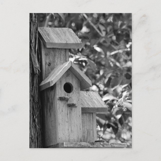 Classic Country Postcard (Front)