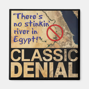 Classic Denial Magnet