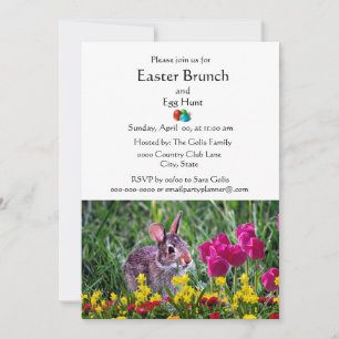 Classic Easter Holiday Family Brunch  Invitation