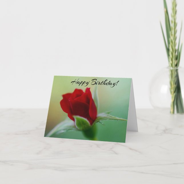 Classic Elegance Red Rose Birthday Card (Front)