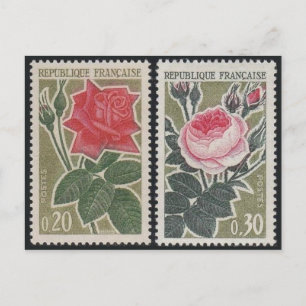 Classic Engraved Stamp Postcard