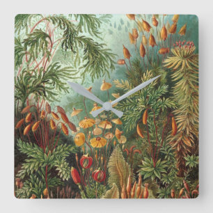CLASSIC ERNST HAECKEL NATURE ILLUSTRATION SQUARE WALL CLOCK