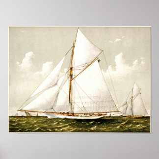 Classic Etching - Sailboats Poster