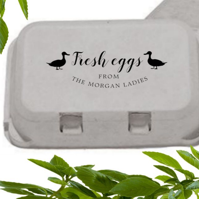Classic Farmhouse duck Egg Carton Stamp (Creator Uploaded)
