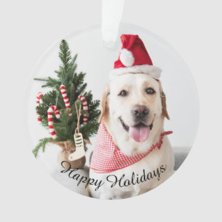 Classic Floral Frame Custom Dog Photo Christmas Or Ornament