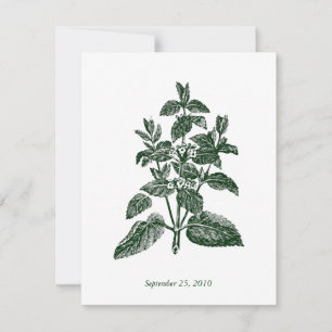 Classic Foliage Wedding Invitation