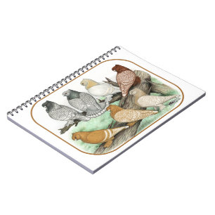Classic Frill Pigeons Blondinettes Notebook
