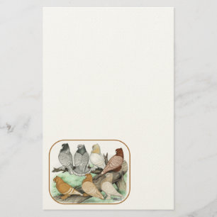 Classic Frill Pigeons Blondinettes Stationery