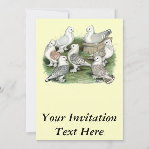 Classic Frill Pigeons Invitation