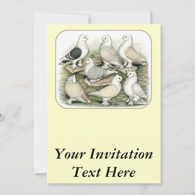 Classic Frill Pigeons Satinettes Invitation (Front)