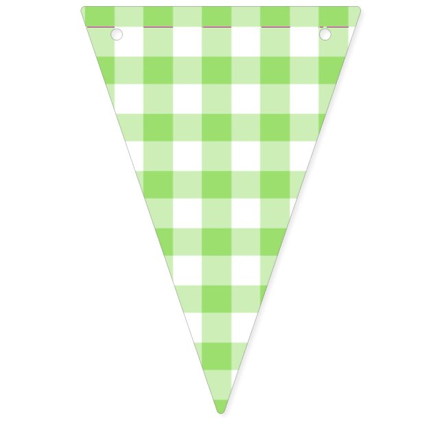 Classic Gingham Spring Green Bunting (First Flag)