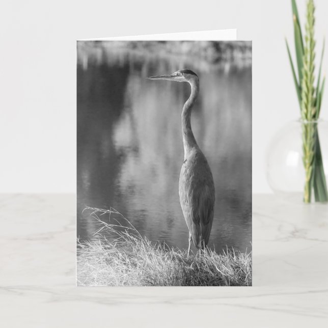 Classic Great Blue Heron Black & White Photography Card (Front)