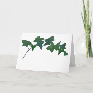 Classic Green English Ivy   Card