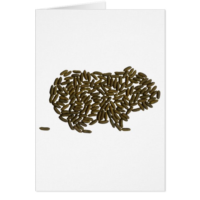 Classic Guinea Pig (Front)