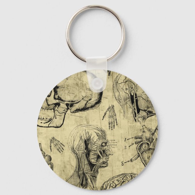 Classic Human Anatomy Key Ring (Front)