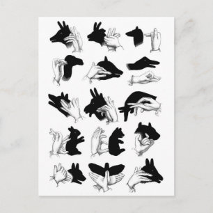 Classic Illustration Postcard