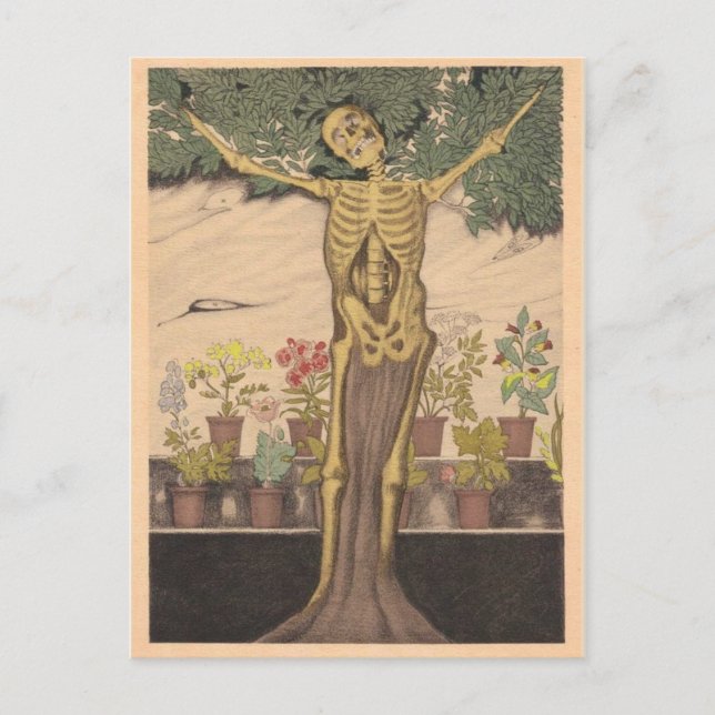 Classic Illustration Postcard (Front)