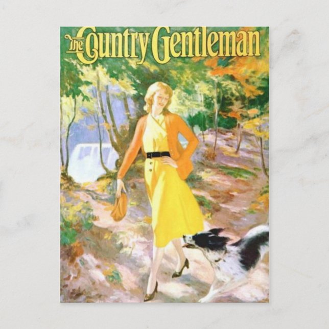 Classic Illustration Postcard (Front)