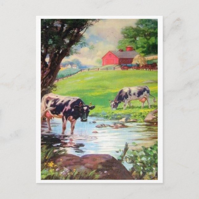 Classic Illustration Postcard (Front)