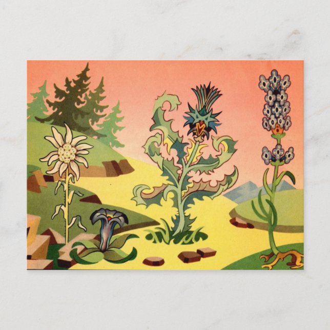 Classic Illustration Postcard (Front)