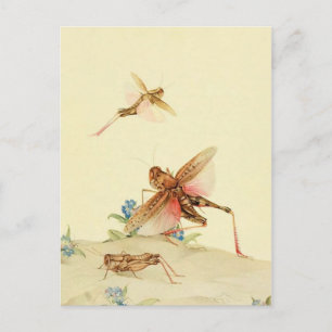 Classic Illustration Postcard