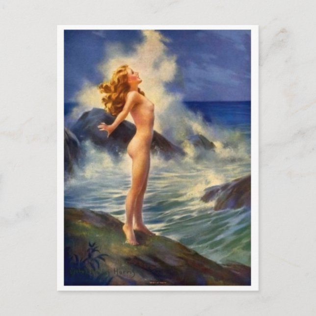 Classic Illustration Postcard (Front)