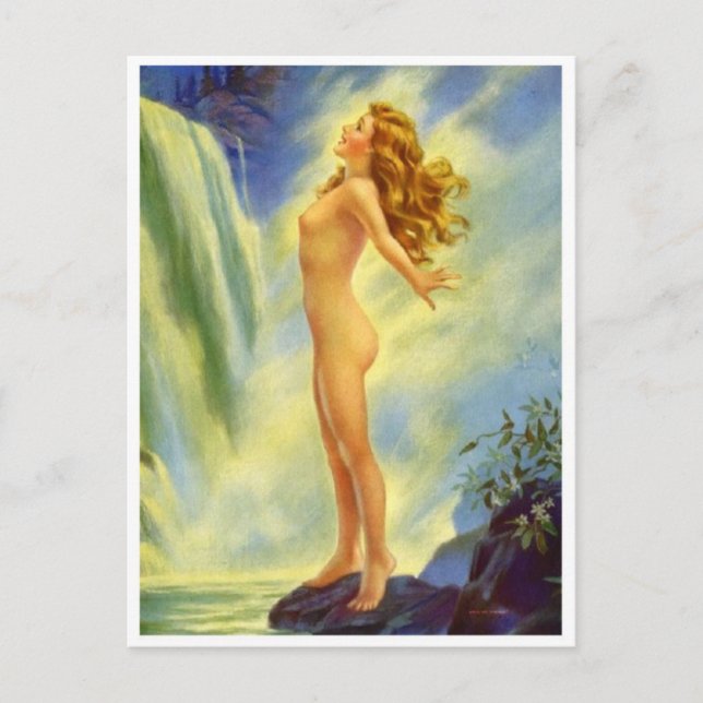 Classic Illustration Postcard (Front)