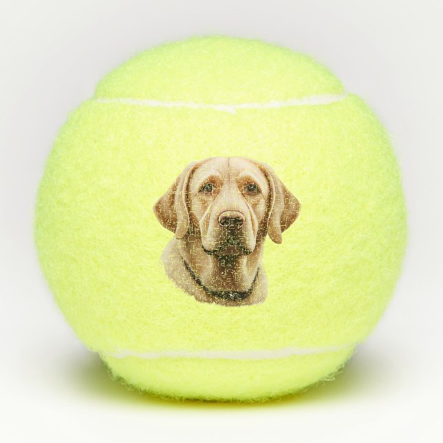 Classic Labrador Retriever Illustration Tennis Balls (Front)