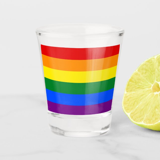 Classic LGBTQ Gay Pride Rainbow Flag Shot Glass (Front)