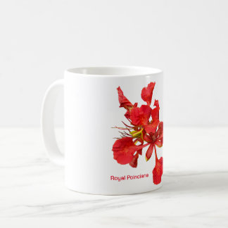 Classic Mug Royal Poinciana