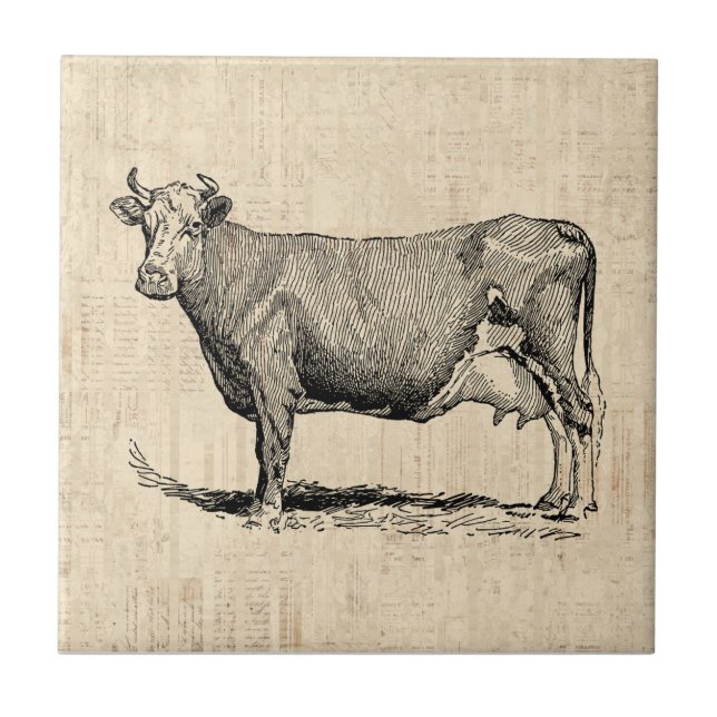 Classic Old Fashioned Cow Art Ceramic Tile (Front)