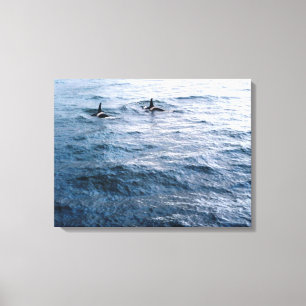 Classic Orca Whale Pair Ocean Scene Photo Designed Canvas Print