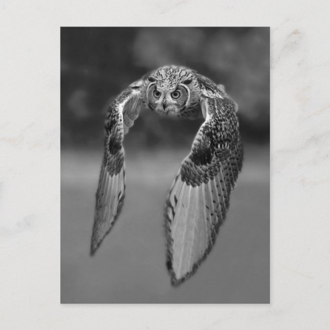 Classic Photo Postcard (Front)