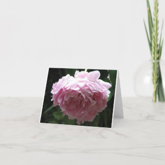 Classic Pink Peony Note Cards