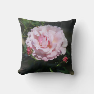 Classic Pink Rose Beautiful Nature Photograph Cushion