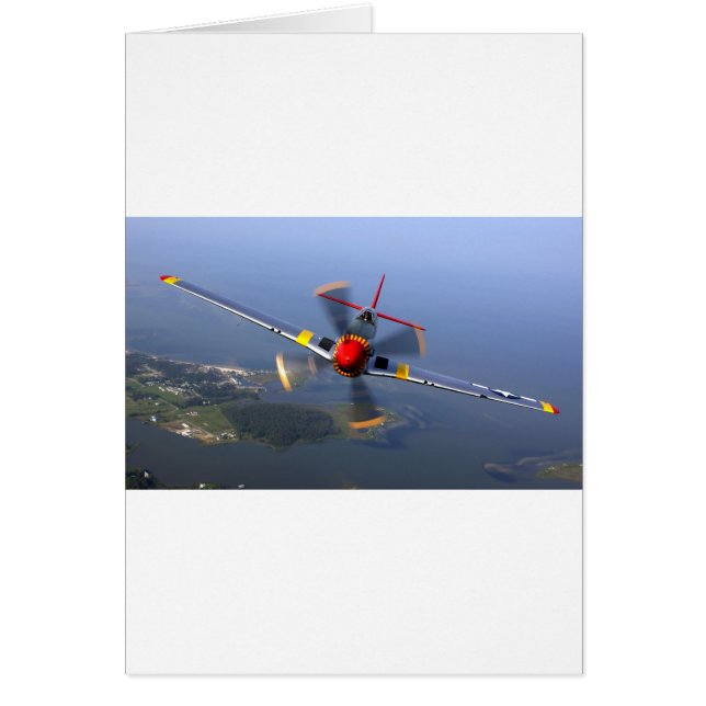 Classic Plane (Front)