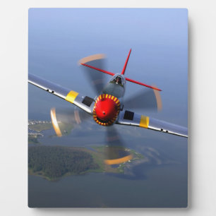 Classic Plane Plaque