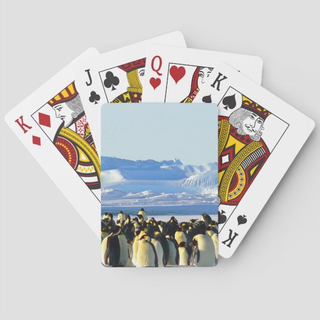 Classic playing card (Back)