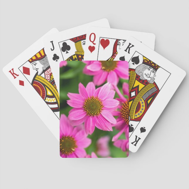 Classic Playing Cards with Pink coneflower (Back)