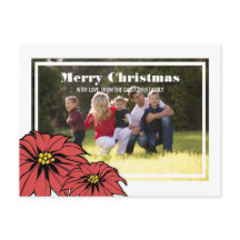 Classic Poinsettia Holiday Photo